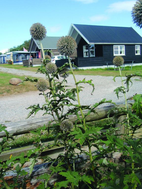Toftum Bjerge Camping & Cottages Humlum Habitación foto
